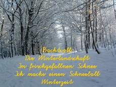 20.Dezember-Seite15.pdf